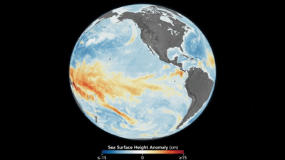 Anomalia da altura da superfície do mar no Pacífico Equatorial associada ao El Niño